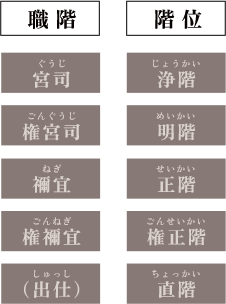 職階と階位の図