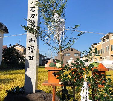 お田植え神事